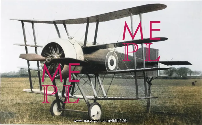 : Wight Quadruplane single-seat fighter : Wight Quadruplane single-seat fighter