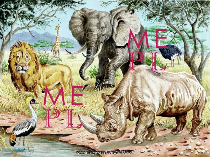 : Wild Animals of Africa : Wild Animals of Africa