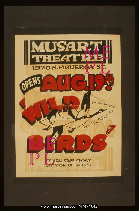 : Wild birds Wild birds : Wild birds Wild birds