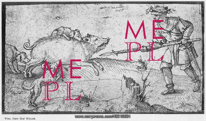 : Wild boar hunt, 16th century : Wild boar hunt, 16th century