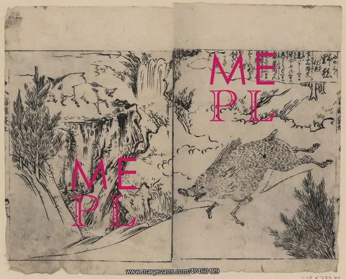 : Wild boars running, on cliffs, and near pine trees : Wild boars running, on cliffs, and near pine trees
