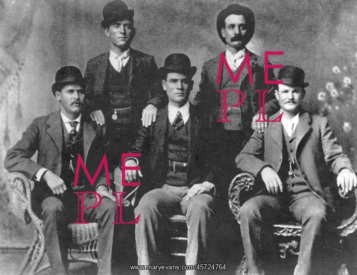 : The Wild Bunch : The Wild Bunch