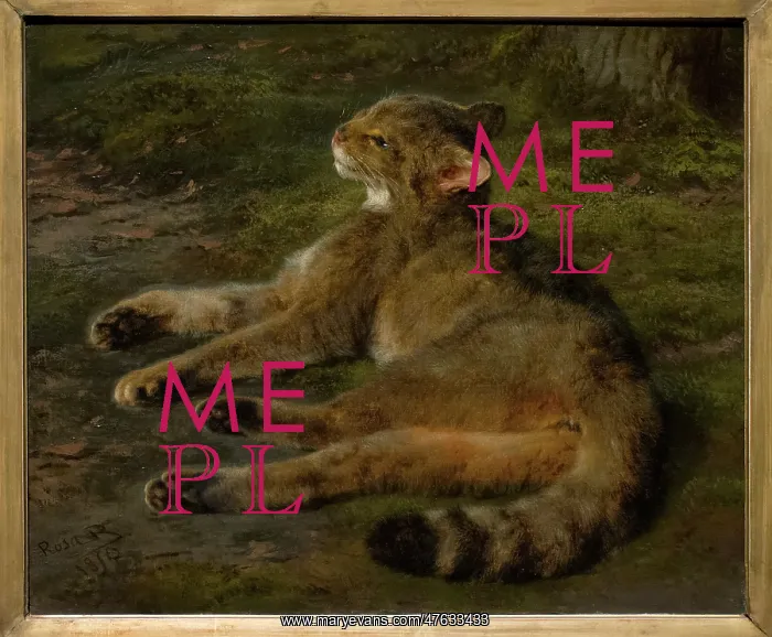 : Wild Cat, 1850, by Rosa Bonheur : Wild Cat, 1850, by Rosa Bonheur