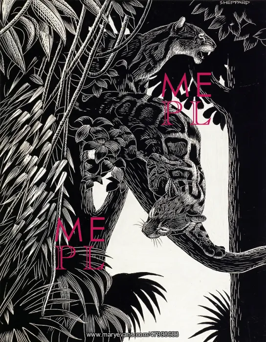  : Two wild cats in a tree