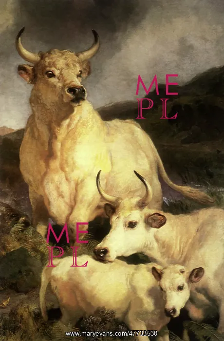 : Wild Cattle of Chillingham, by Landseer : Wild Cattle of Chillingham, by Landseer