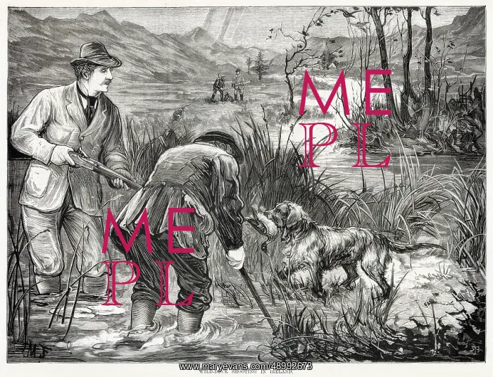 : Wild Duck Shooting in Ireland 1876 : Wild Duck Shooting in Ireland 1876