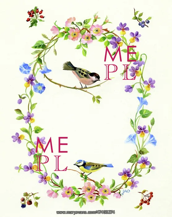 : Wild Flower Oval with willow tit and blue tit : Wild Flower Oval with willow tit and blue tit