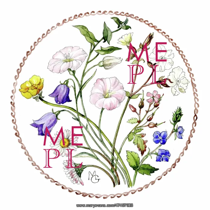  : Wild Flowers in a circle