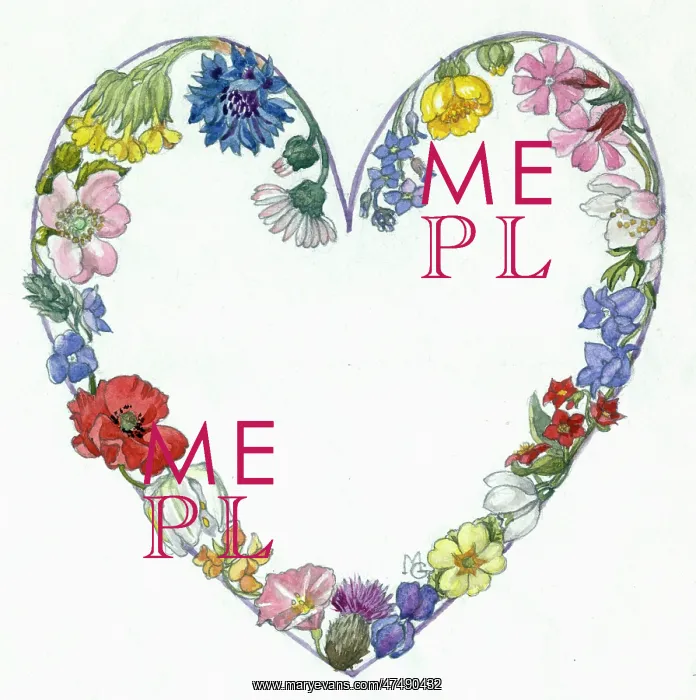 : Wild Flowers in a Heart Shape ' poppy etc : Wild Flowers in a Heart Shape ' poppy etc