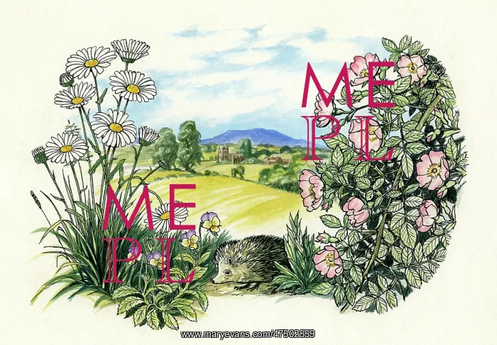 : Wild flowers, hedgehog and landscape : Wild flowers, hedgehog and landscape