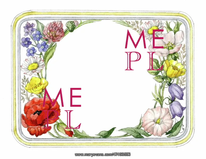 : Wild flowers in rectangle with rounded corners : Wild flowers in rectangle with rounded corners