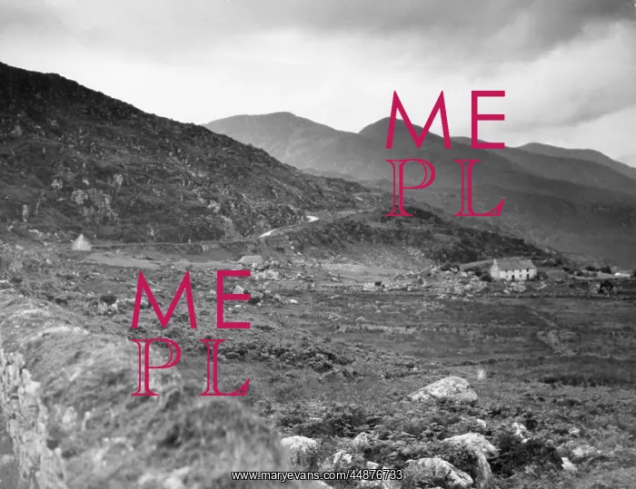 : WILD IRISH COUNTRYSIDE : WILD IRISH COUNTRYSIDE
