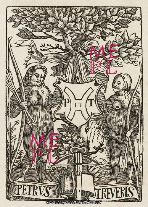: Wild Man, Wild Woman : Wild Man, Wild Woman