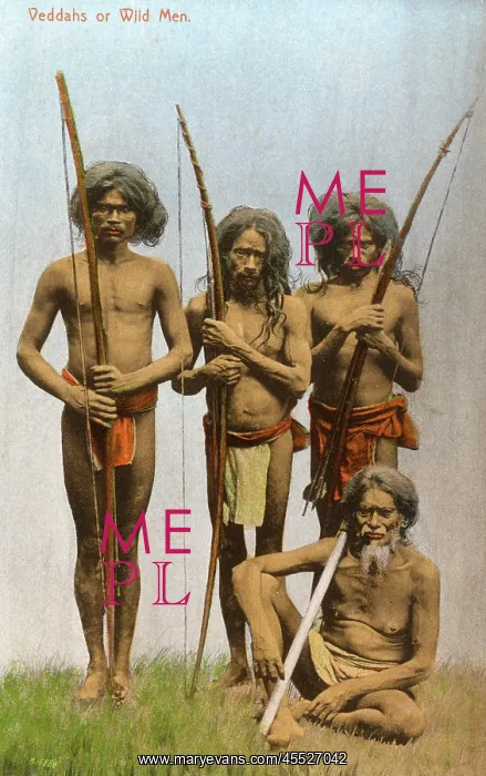 : Wild Men (Veddahs) - Sri Lanka : Wild Men (Veddahs) - Sri Lanka