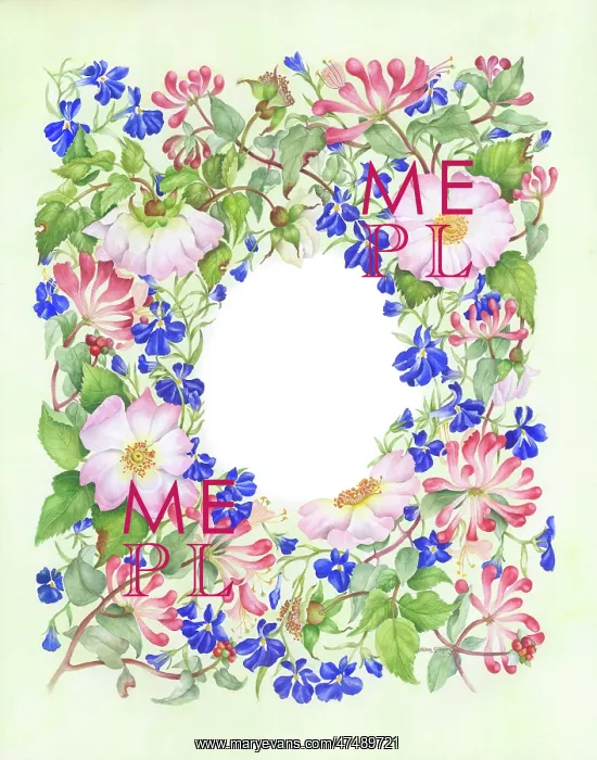 : Wild Roses, Blue Lobelia and Honeysuckle : Wild Roses, Blue Lobelia and Honeysuckle