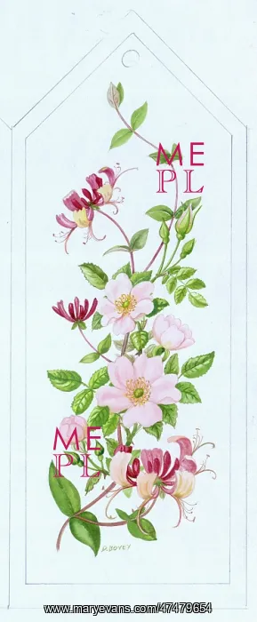  : Wild Roses and Honeysuckle