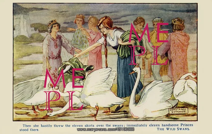 : The Wild Swans : The Wild Swans