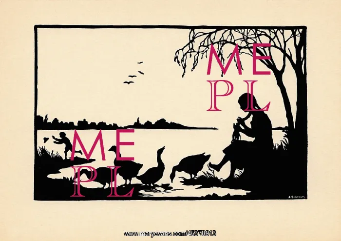 : The Wild Swans in silhouette : The Wild Swans in silhouette