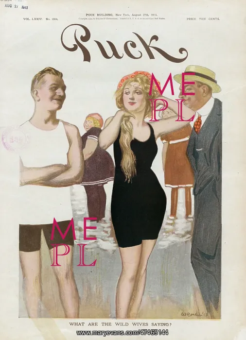 : What are the wild wives saying? : What are the wild wives saying?