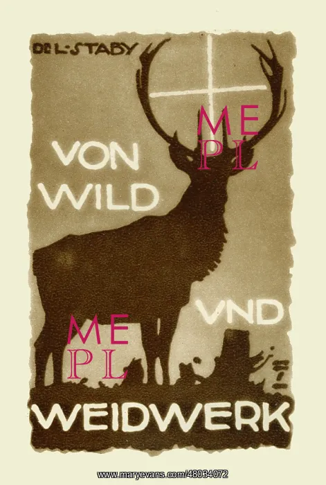 : From wild and woodcraft : From wild and woodcraft