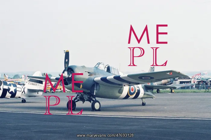 : Wildcat at North Weald : Wildcat at North Weald