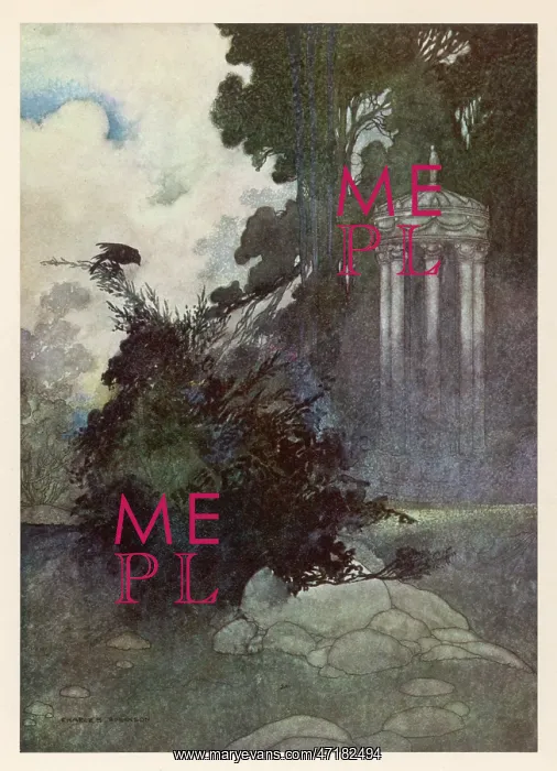 : WILDE / DEVOTED FRIEND : WILDE / DEVOTED FRIEND