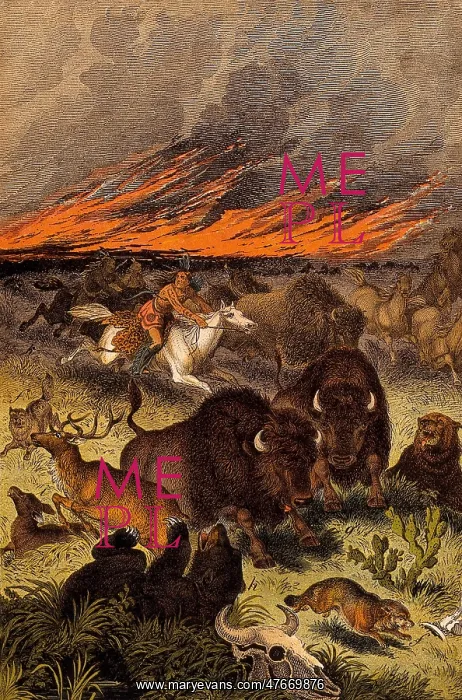 : Wildfire, Native Americans, Buffalo, Illustration : Wildfire, Native Americans, Buffalo, Illustration