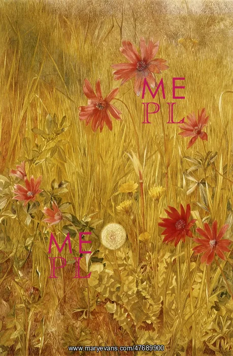 : Wildflowers : Wildflowers