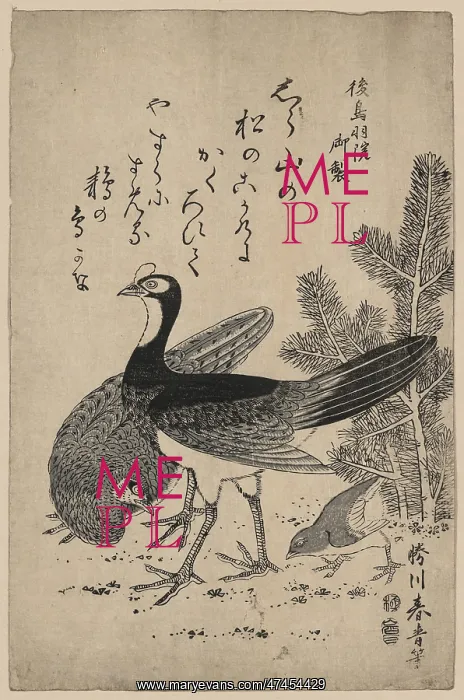 : Wildfowl and pine : Wildfowl and pine