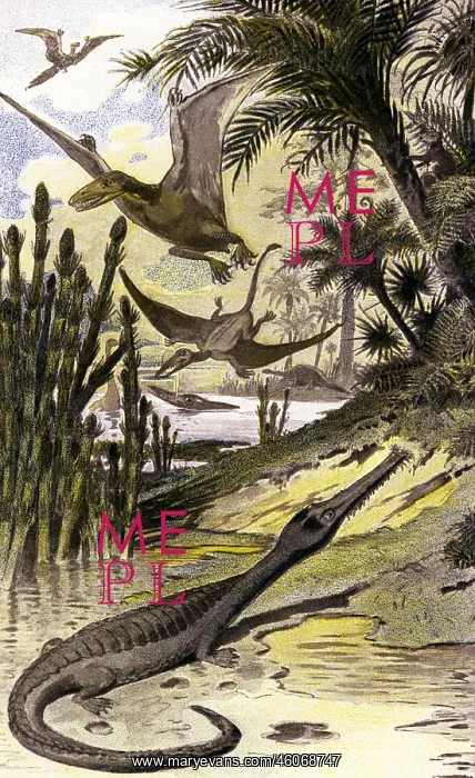 : Wildlife of the Mesozoic era : Wildlife of the Mesozoic era