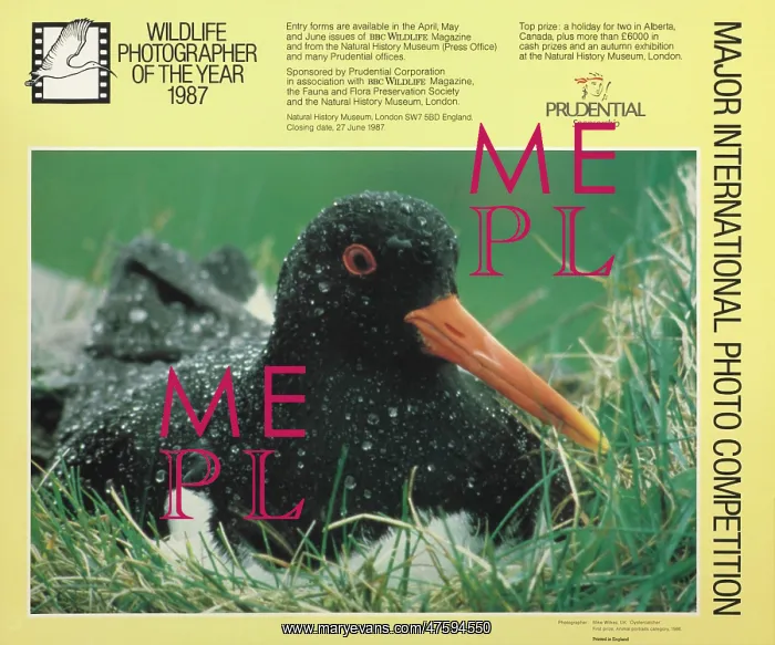 : Wildlife Photographer of the Year 1987 : Wildlife Photographer of the Year 1987