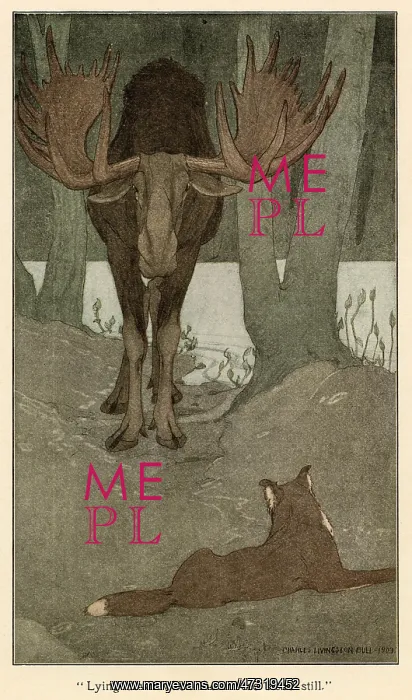: CALL OF WILD.MOOSE.C20TH : CALL OF WILD.MOOSE.C20TH