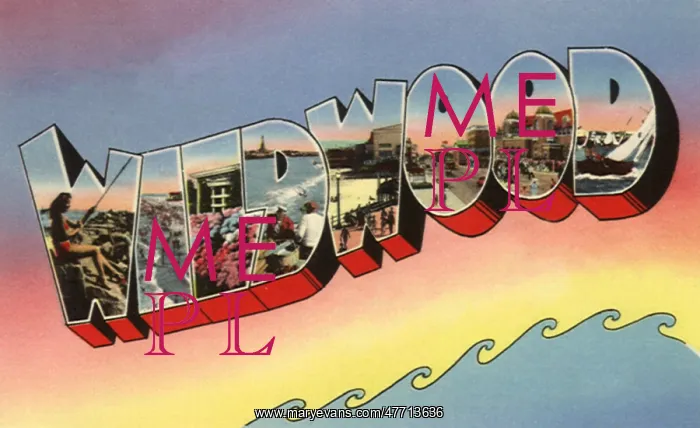  : Wildwood Greetings