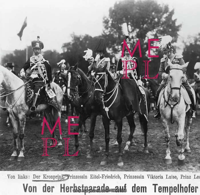 : Wilhelm - crown prince - Germany - Hohenzollern - Militaer und Paraden : Wilhelm - crown prince - Germany - Hohenzollern - Militaer und Paraden