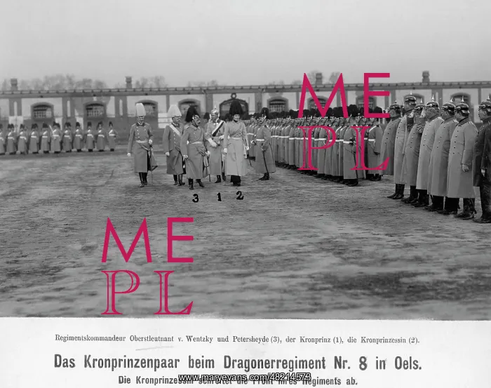 : Wilhelm - crown prince - Germany - Hohenzollern - Militaer und Paraden : Wilhelm - crown prince - Germany - Hohenzollern - Militaer und Paraden