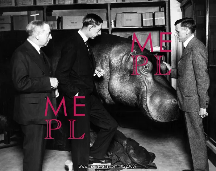  : Wilhelm - prince - Sweden - Bernadotte - 2