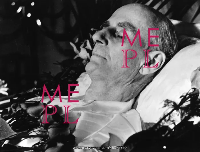 : Wilhelm Furtw?ngler : Wilhelm Furtw?ngler