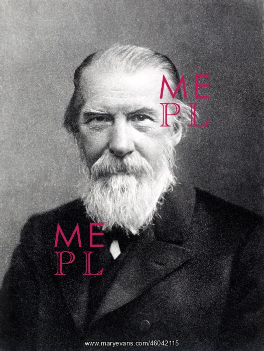 : Wilhelm Raabe : Wilhelm Raabe