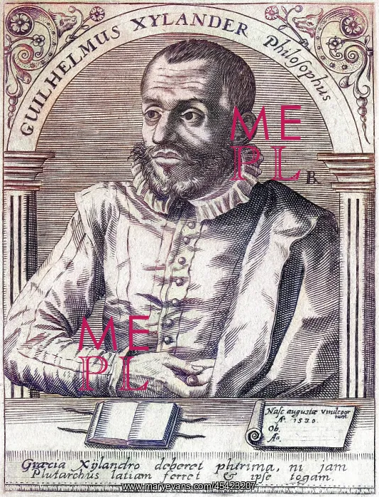 : WILHELM XYLANDER : WILHELM XYLANDER