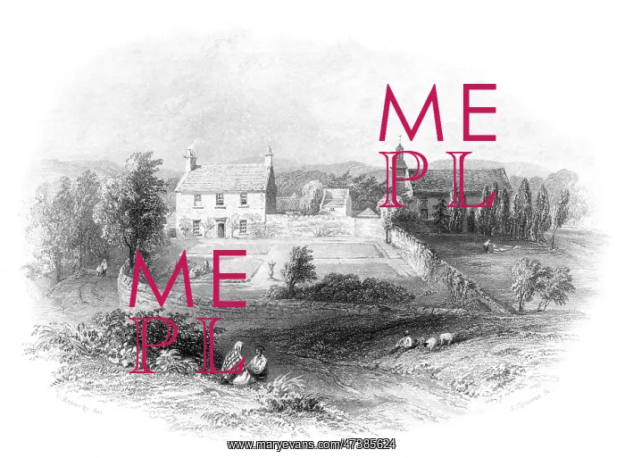  : WILKIE BIRTHPLACE