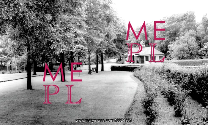  : Willenhall, Memorial Park c1965