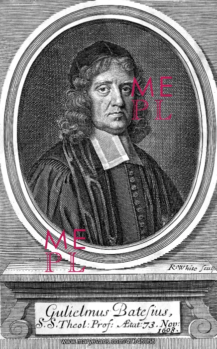  : WILLIAM BATES, DIVINE