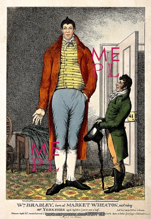 : William Bradley, The Yorkshire Giant : William Bradley, The Yorkshire Giant