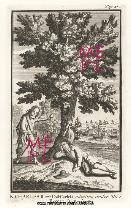 : William Careless hiding King Charles II in an oak tree, 1651 : William Careless hiding King Charles II in an oak tree, 1651