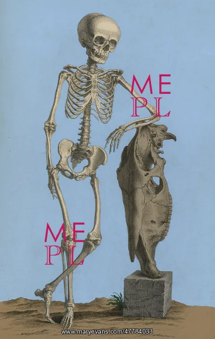 : William Cheselden, Osteographia, 1733 : William Cheselden, Osteographia, 1733