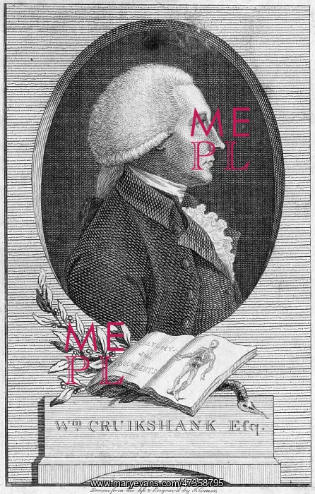 : WILLIAM CRUIKSHANK : WILLIAM CRUIKSHANK