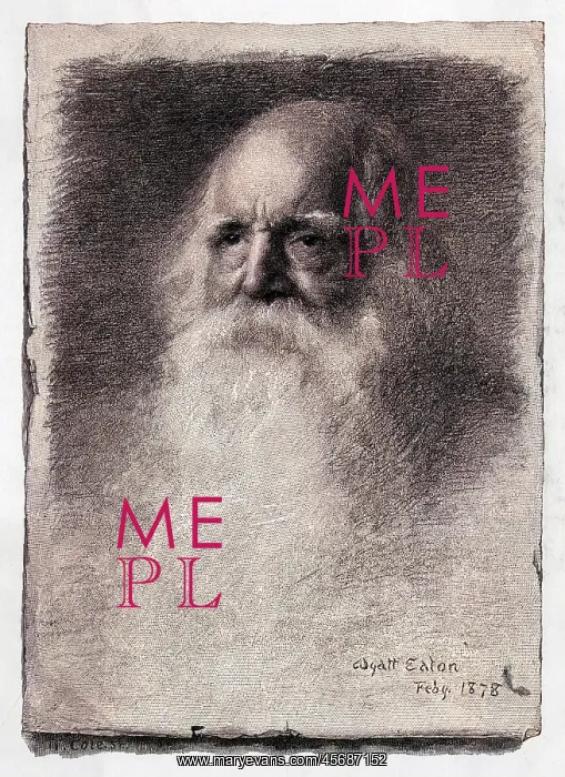 : William Cullen Bryant : William Cullen Bryant