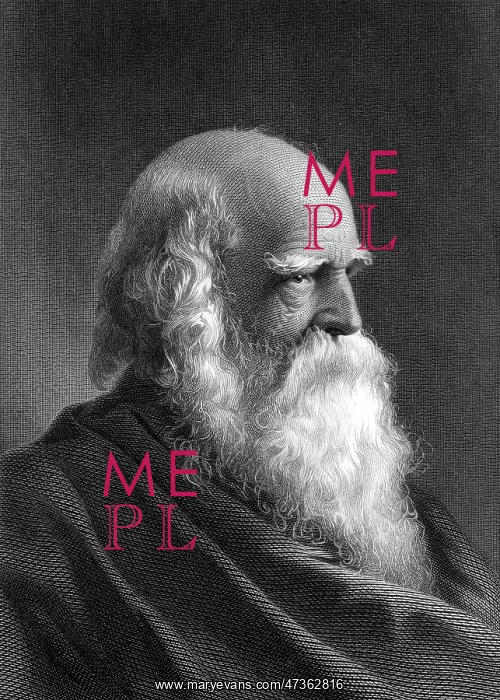 : WILLIAM CULLEN BRYANT : WILLIAM CULLEN BRYANT