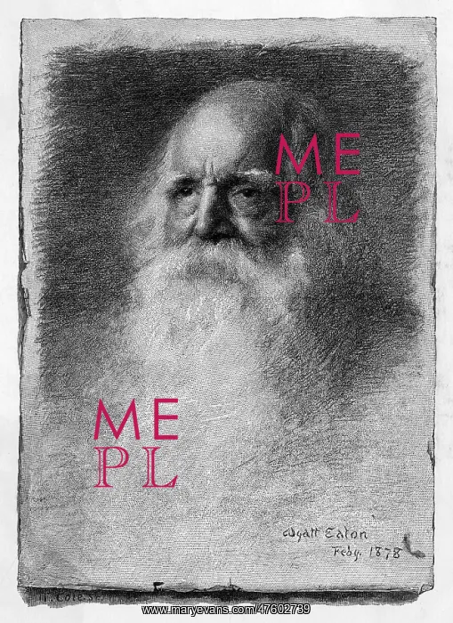 : William Cullen Bryant : William Cullen Bryant