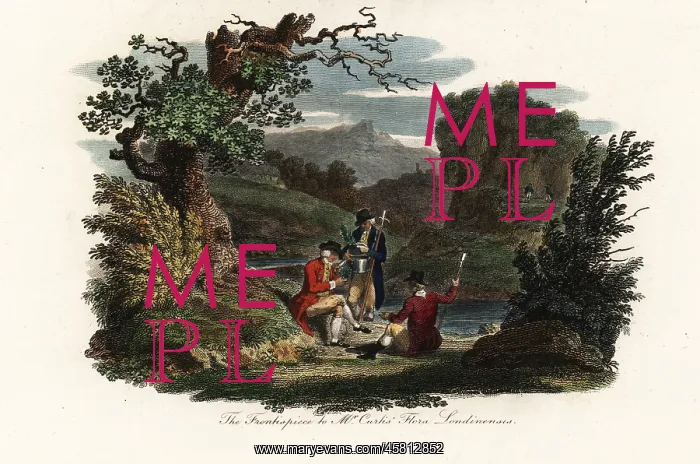 : William Curtis collecting plant specimens, 18th century : William Curtis collecting plant specimens, 18th century